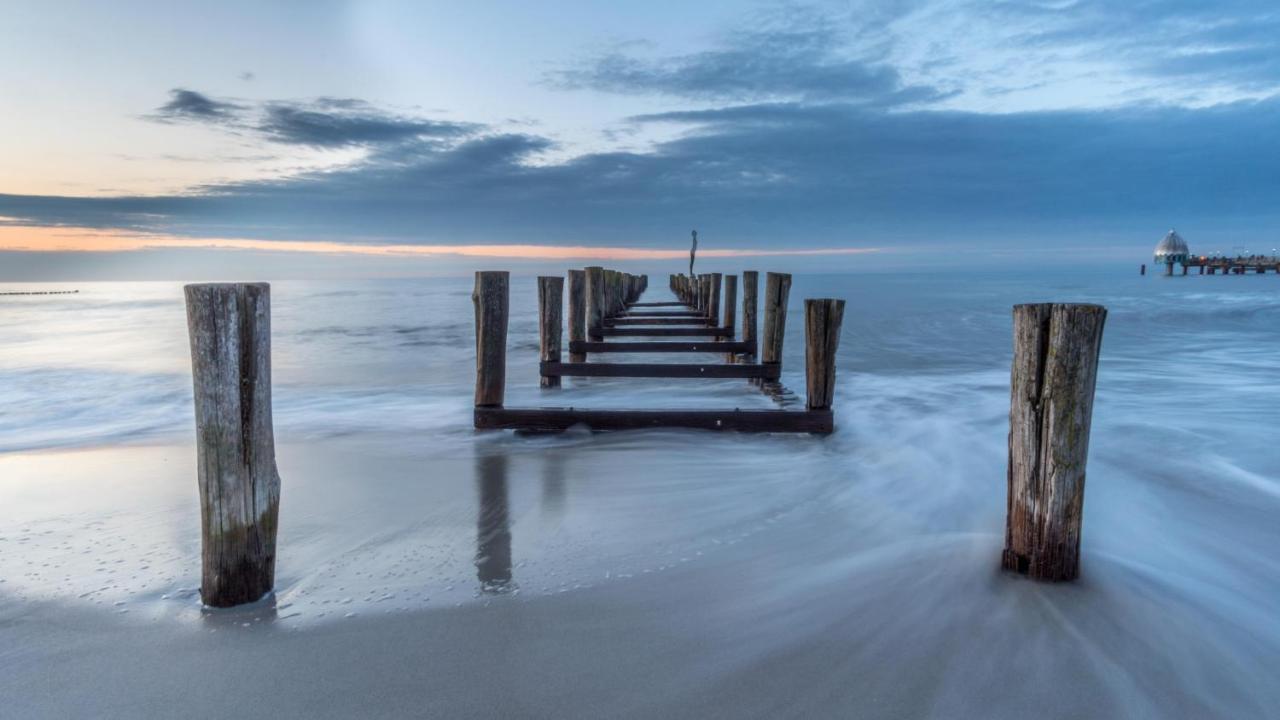 Residenz Am Strand Wohnung 1-11 Zingst Buitenkant foto